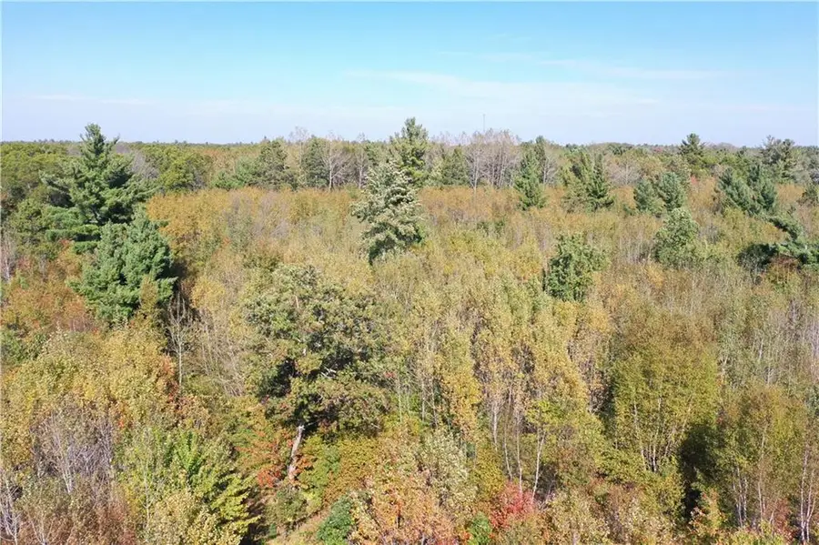 XXX Bluebird Trail, Webster, WI 54893 - Image #3