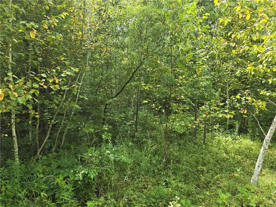 00 10 1/4 Avenue, Chetek, WI 54728 - Image #3