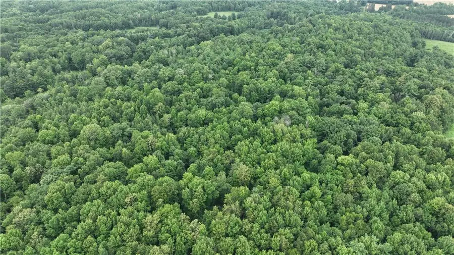 XX Hwy 63, Turtle Lake, WI 54889 - Image #2