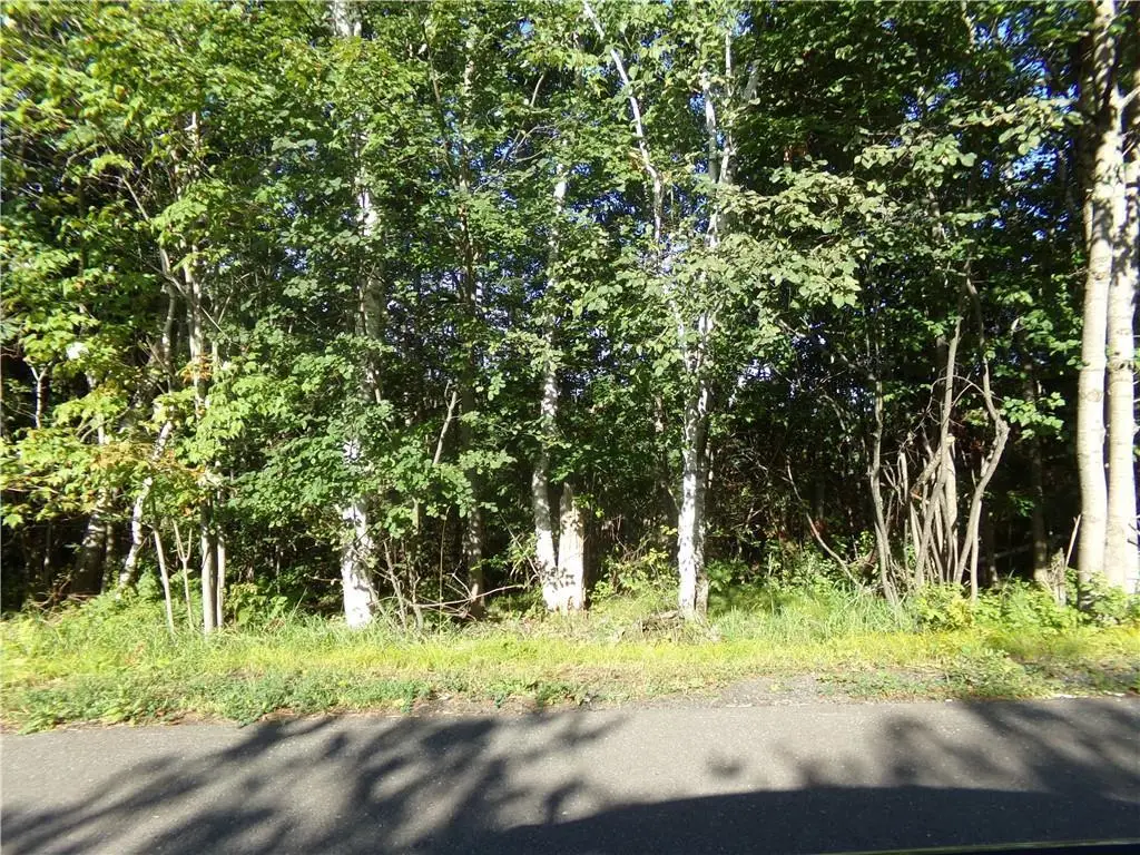 7581 S Marsik Lot 4 Road, Lake Nebagamon, WI 54849 - Image #1