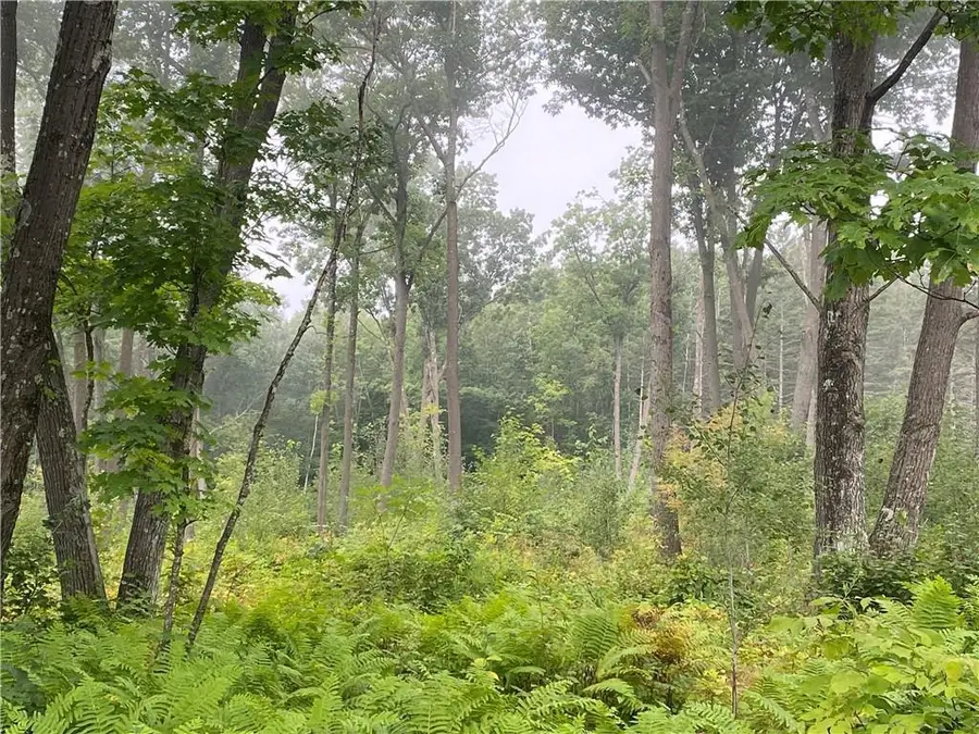 ON W County Road C, Exeland, WI 54835 - #3