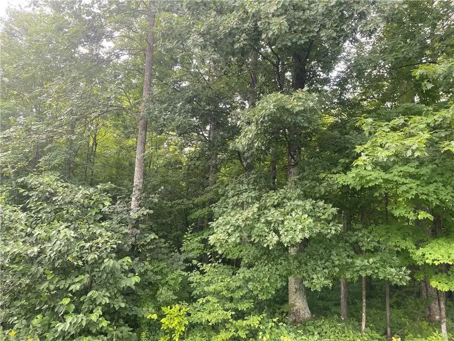 ON WI-48, Exeland, WI 54835 - Image #2