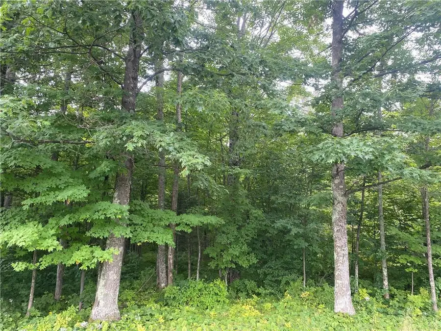 ON WI-48, Exeland, WI 54835 - Image #3