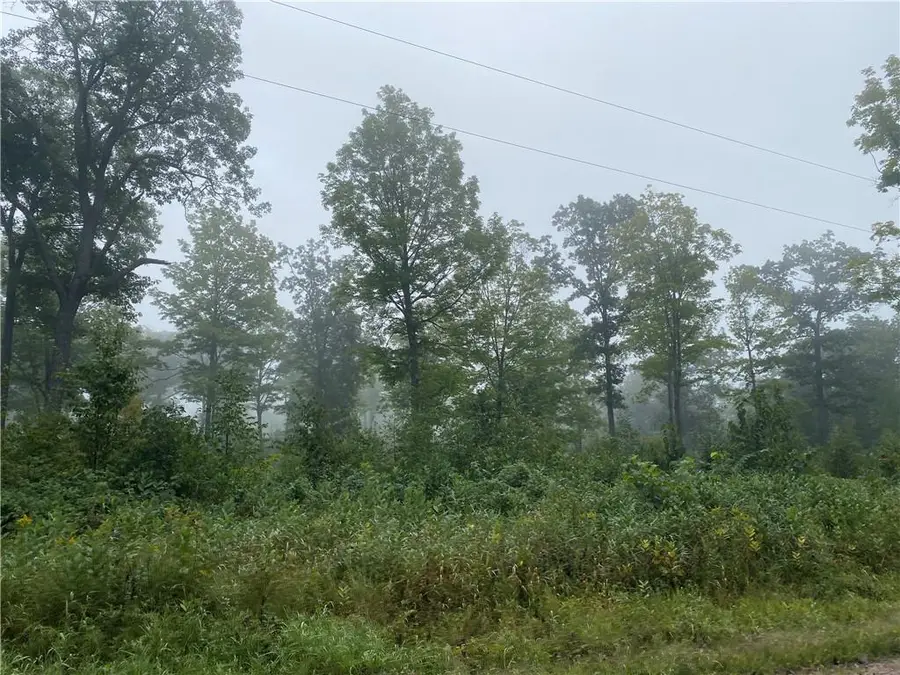 ON Zettel Road, Exeland, WI 54835 - Image #3