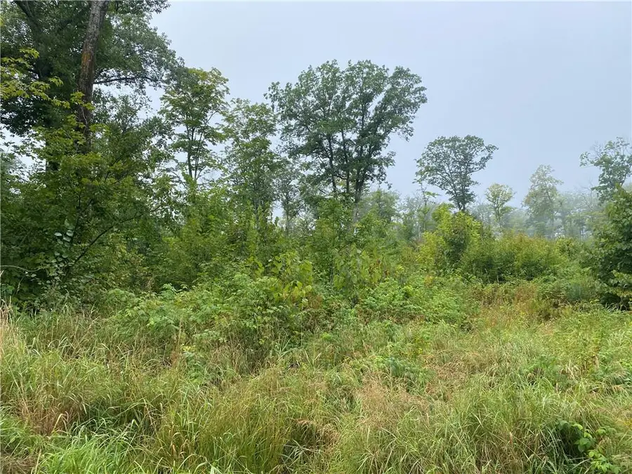 ON Zettel Road, Exeland, WI 54835 - #2