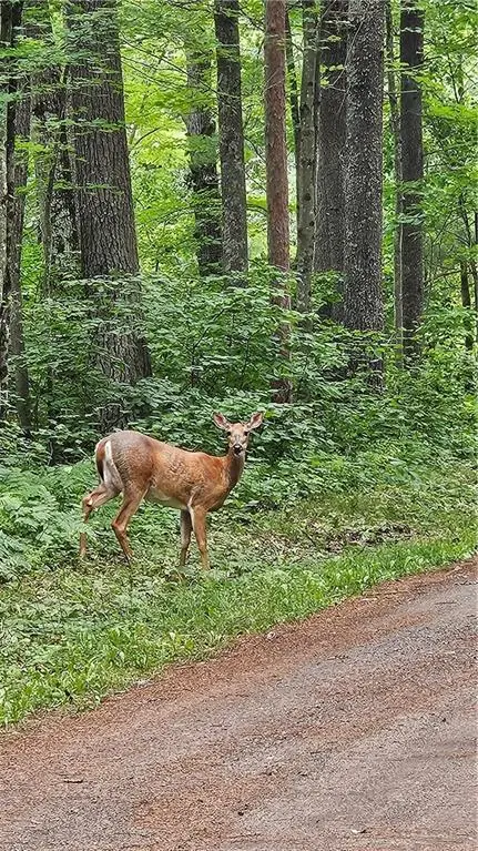 Lots 17, 18, 36-40 BLK 13 Dixon Ave, Hayward, WI 54843 - Image #1