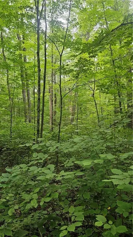 Lots 17, 18, 36-40 BLK 13 Dixon Ave, Hayward, WI 54843 - Image #2