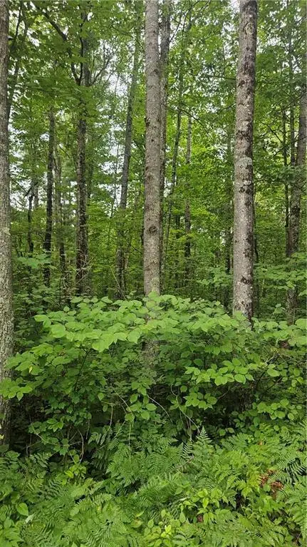 Lots 1-2, 34-40 BLK 2 County Road K, Hayward, WI 54843 - Image #2