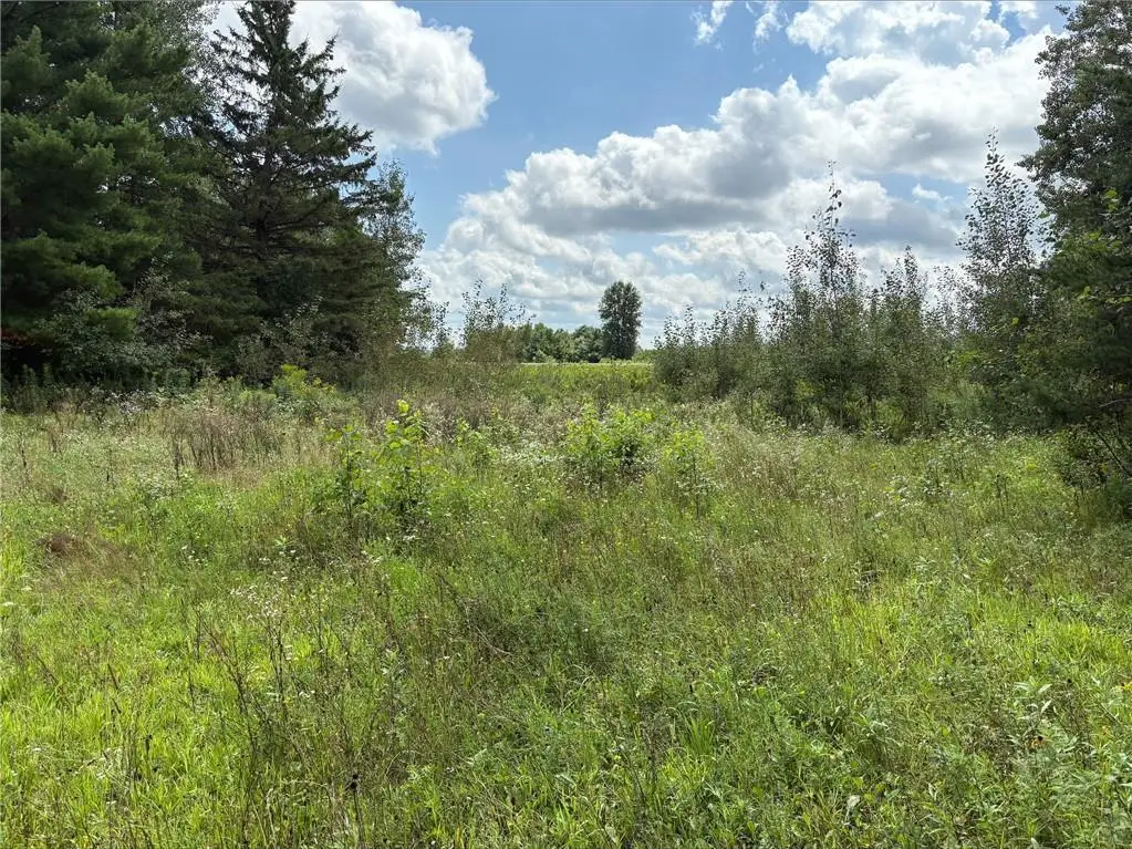 2645 28 1/16th Avenue/Gateshead Road, Birchwood, WI 54817 - #1