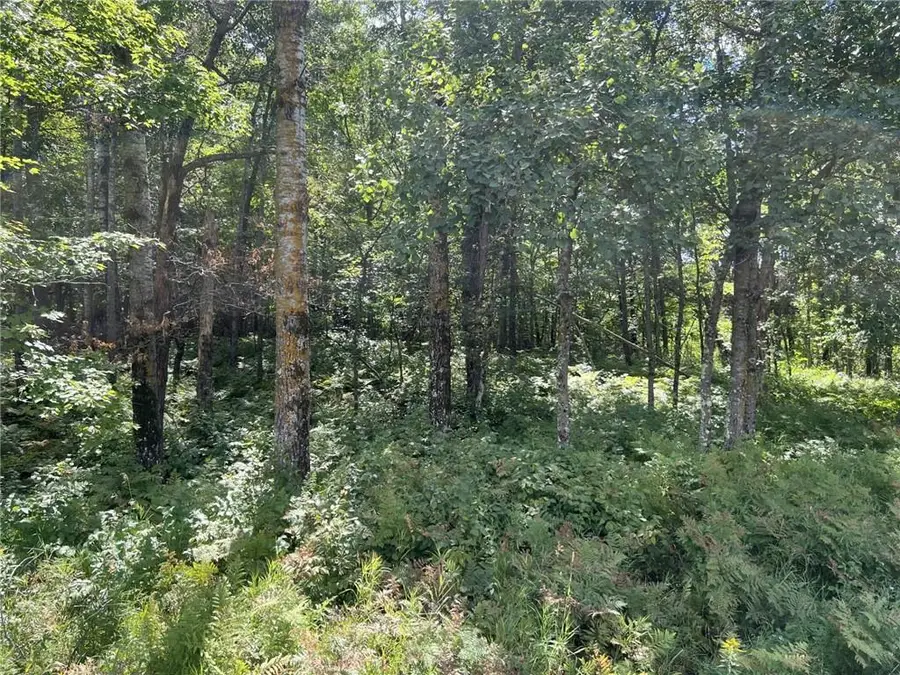 XXXX County Road B, Siren, WI 54872 - Image #2