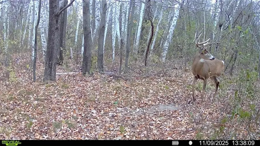 1174 230th Street, Baldwin, WI 54002 - Image #2