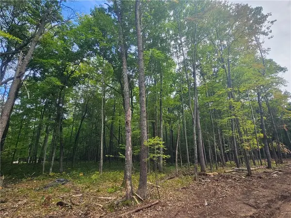 Lot 5 Ken Can Lane, Webster, WI 54893