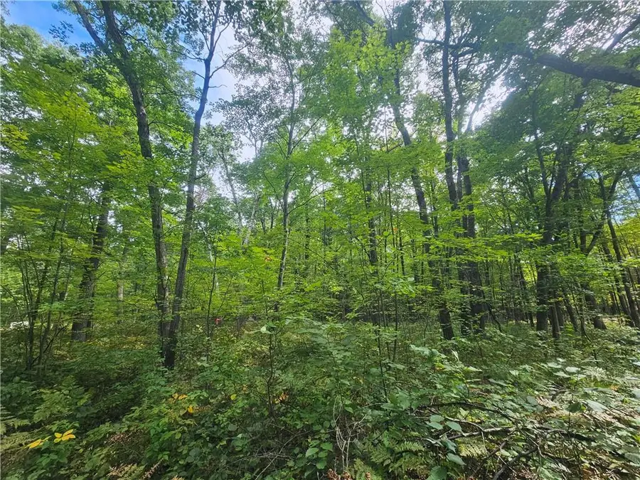 Lot 5 Ken Can Lane, Webster, WI 54893 - #3