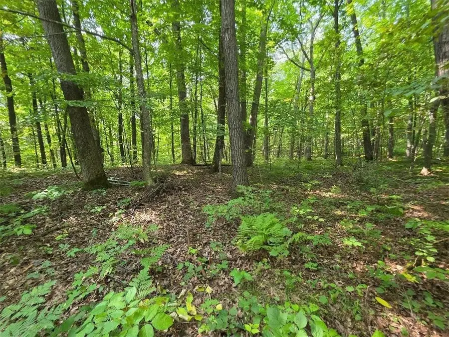 00 30th, Cumberland, WI 54829 - Image #2