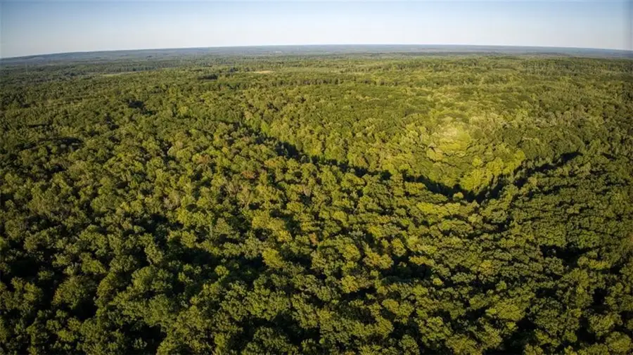 2,351 ACRES COUNTY HWY C & COMET ROAD, Exeland, WI 54835 - Image #2