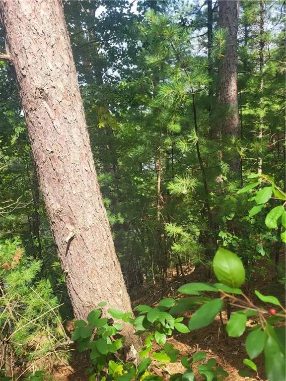 Lot 2 Betty Lane, Black River Falls, WI 54615