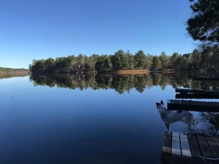 Address Withheld By Seller, Chetek, WI 54728 - Image #2