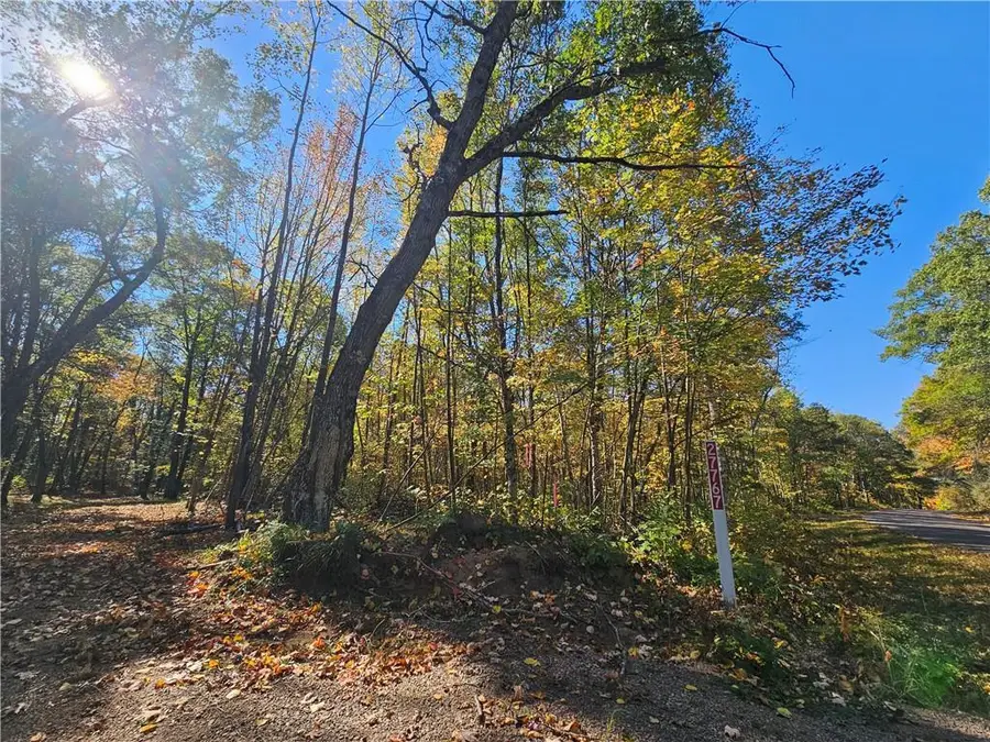 Lot 7, 1.83 +/- Acres 295th Avenue, Holcombe, WI 54745 - Image #2
