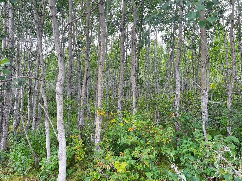 Lot 1 County Road T, Wascott, WI 54838 - Image #1