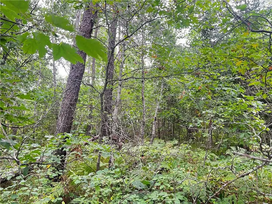 Lot 1 County Road T, Wascott, WI 54838 - Image #2