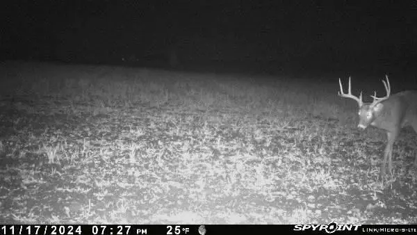 E21504 Karow Road, Augusta, WI 54722 - Image #1