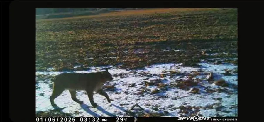 E21504 Karow Road, Augusta, WI 54722 - Image #2