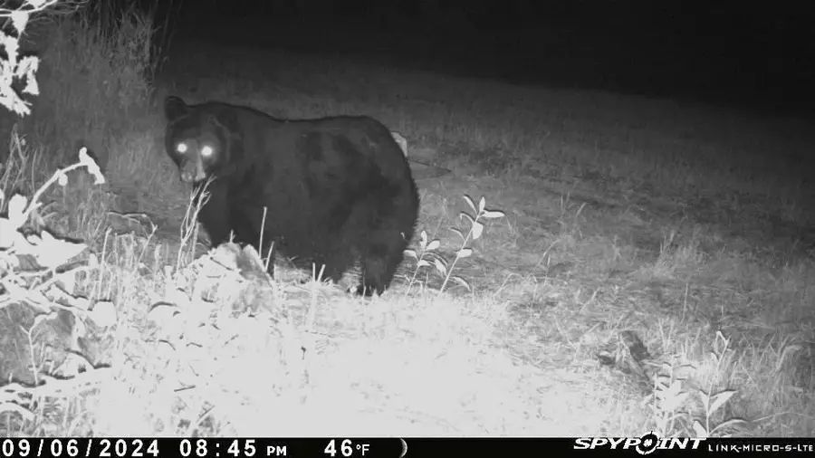 E21504 Karow Road, Augusta, WI 54722 - Image #3