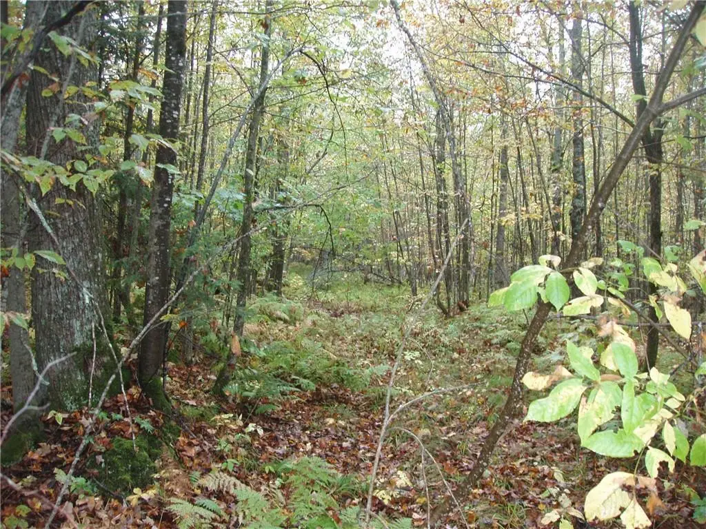 80+/- Acres On Bass Lake Road, Park Falls, WI 54552 - Image #1