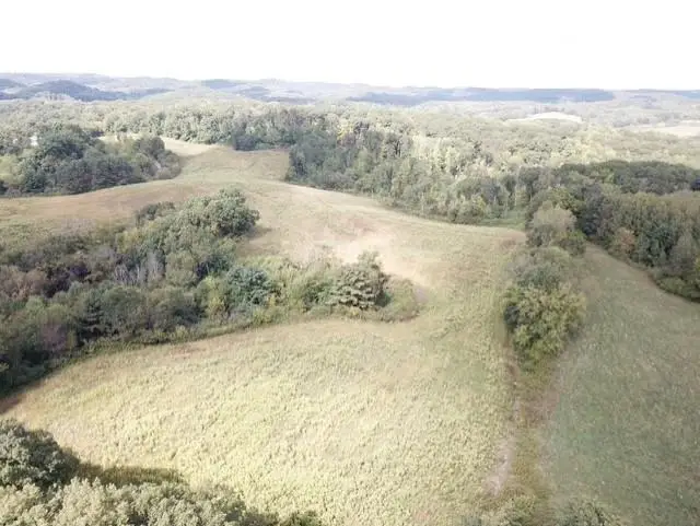 00 Roningen Road, Black River Falls, WI 54615 - Image #3