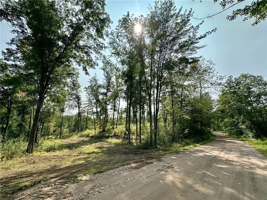 16.43 Acres Antler Lake Drive, Milltown, WI 54858 - Image #2