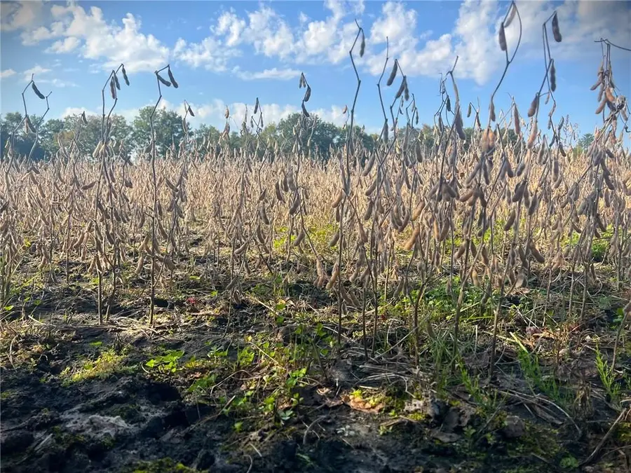 TBD Bruce Mound Avenue, Merrillan, WI 54754 - Image #3