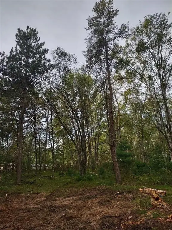 TBD Lynx Road, Barnes, WI 54837 - Image #2
