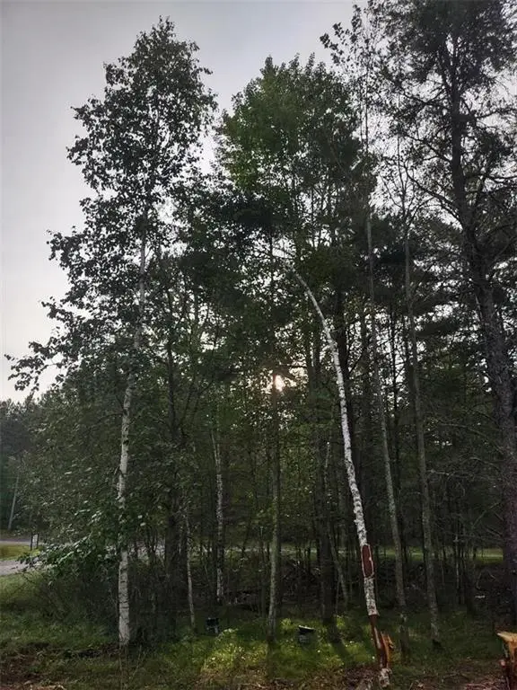 TBD Lynx Road, Barnes, WI 54837 - Image #3