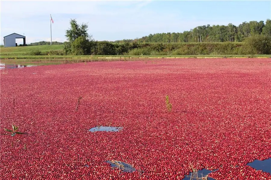 1906 State Rd 27, Exeland, WI 54835 - Image #2