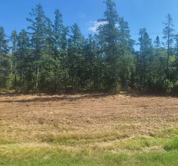 XX HWY 77, Minong, WI 54859 - Image #3