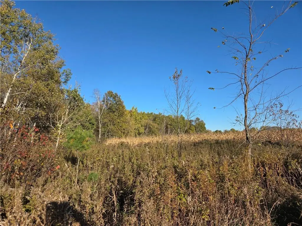 Intersection of Hwy. 48 & Co. Rd. 25, Rice Lake, WI 54868 - Image #1