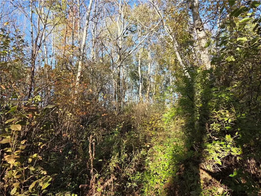 Intersection of Hwy. 48 & Co. Rd. 25, Rice Lake, WI 54868 - Image #3