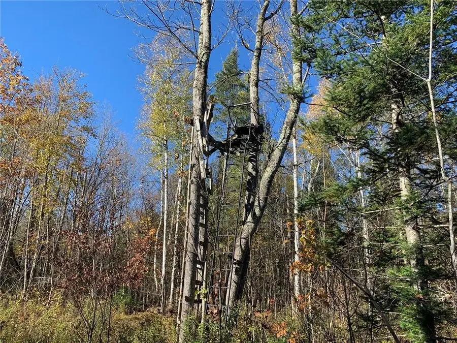 31+/- A On Golob Road, Winter, WI 54896 - Image #2