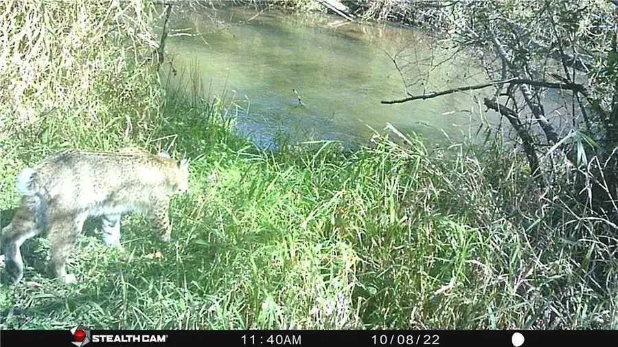 0 S Lowes Creek Rd Road, Eau Claire, WI 54701 - Image #2