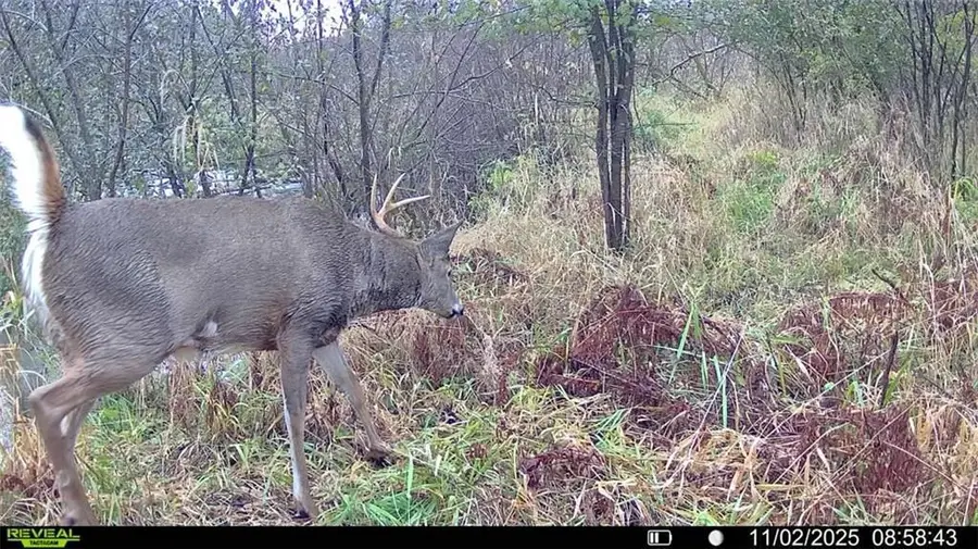 0 S Lowes Creek Rd Road, Eau Claire, WI 54701 - Image #3