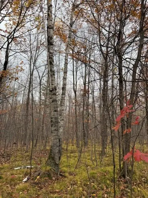 Lot 10 Silver Birch Drive, Cable, WI 54821 - Image #1