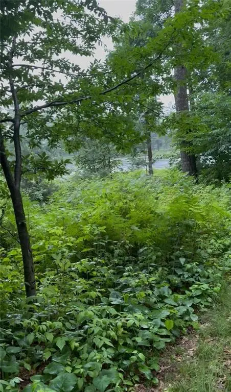 56 11 1/8 Avenue, Cameron, WI 54822 - Image #2