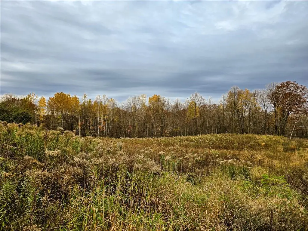 xxx County Road D, Estella, WI 54732 - Image #1