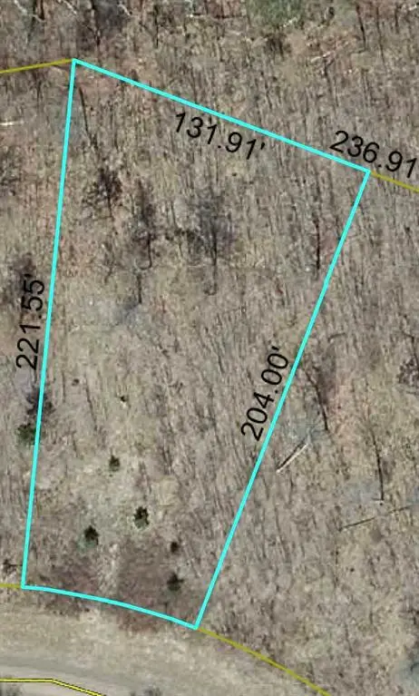 Lot 61 Honey Tree Terrace, Danbury, WI 54830