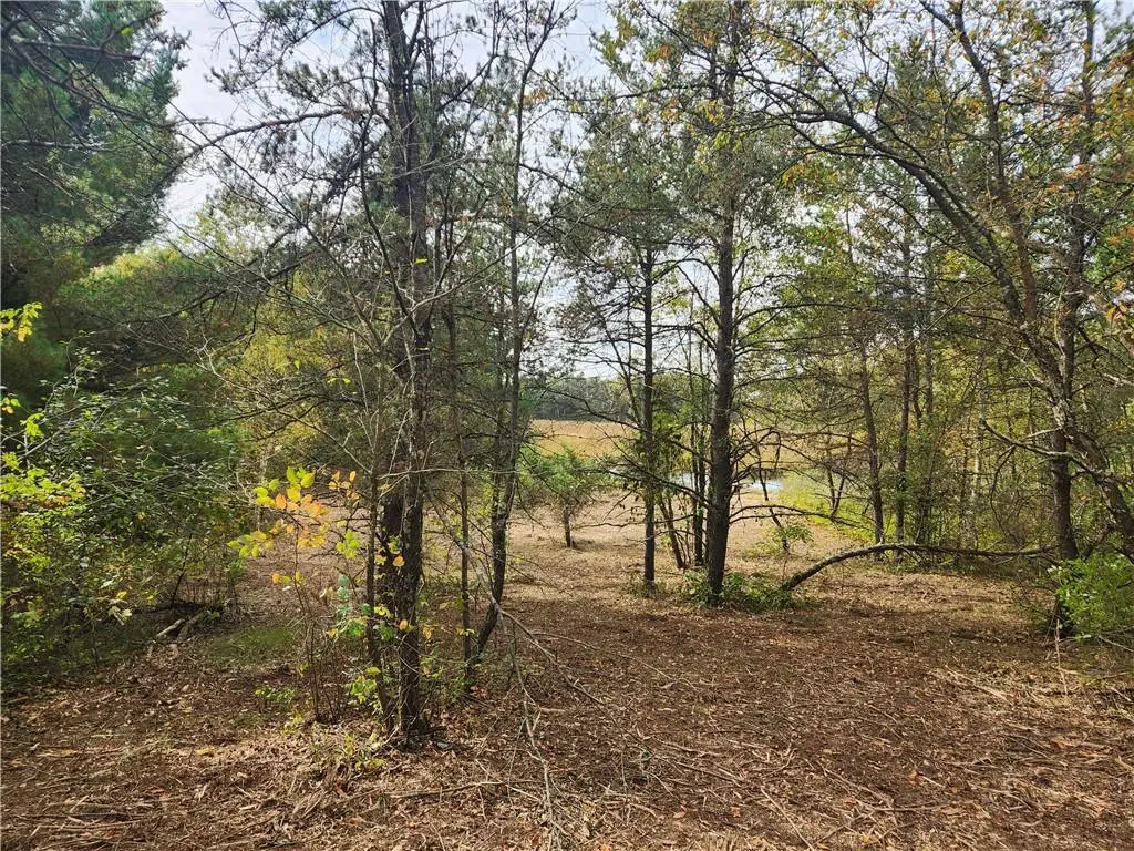 Lot 1 & 2 of CSM 1548 County Road  F, Chetek, WI 54728 - Image #1