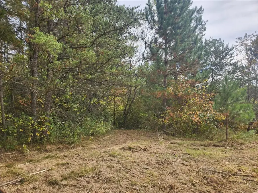 Lot 1 & 2 of CSM 1548 County Road  F, Chetek, WI 54728 - Image #3