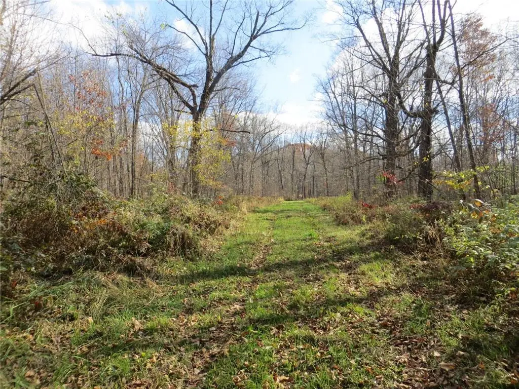 xxx Castle Oaks Ln, Thorp, WI 54771 - Image #1