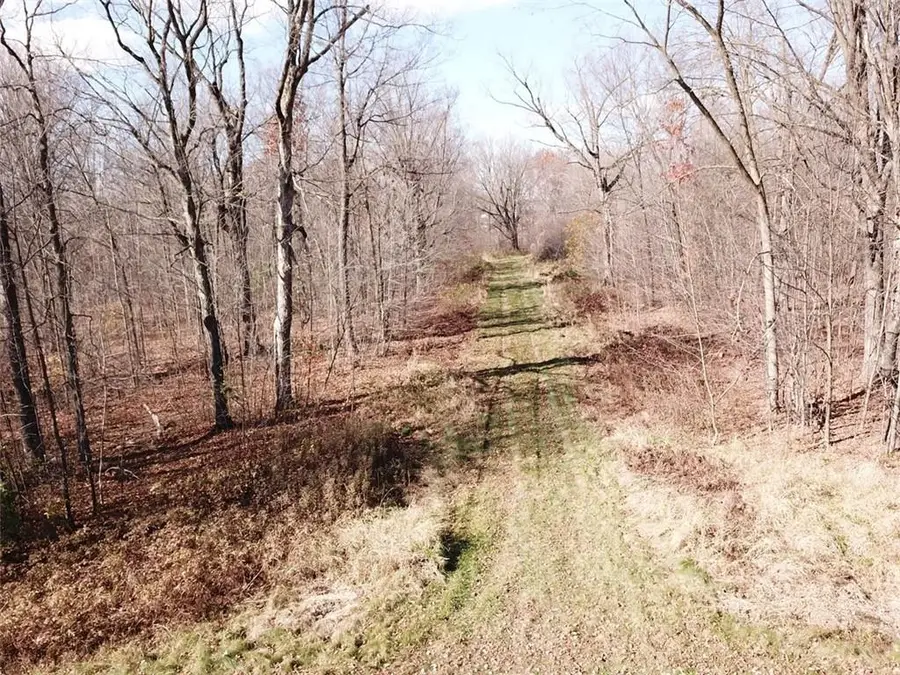 xxx Castle Oaks Ln, Thorp, WI 54771 - Image #2