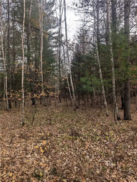 Lot 4 297th Avenue, Holcombe, WI 54745 - Image #3