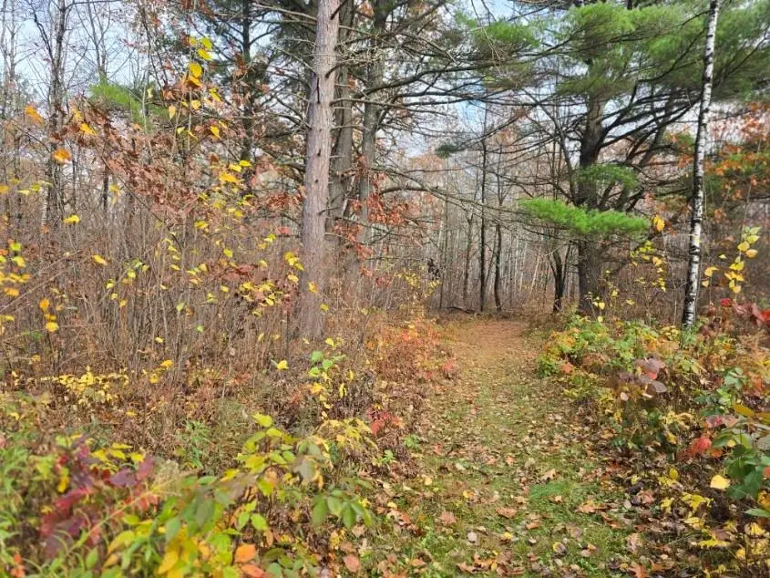 Lot 41 Fat Tire Lane, Hayward, WI 54843 - Image #2
